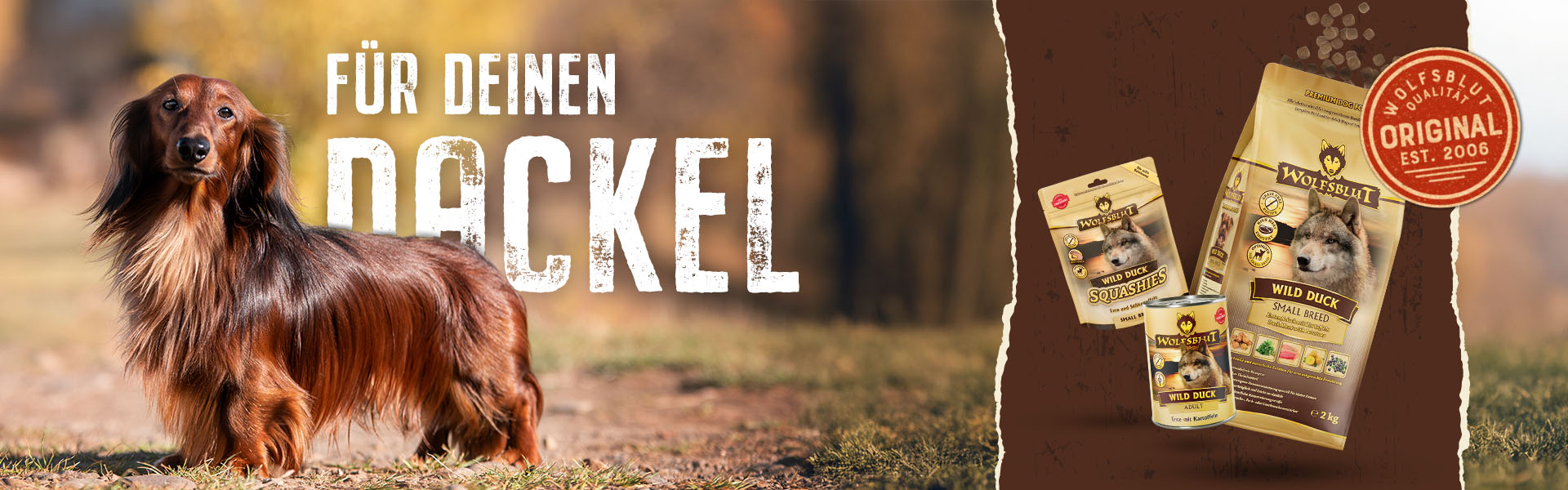 Hunderasse Dackel und passendes Wolfsblut Hundefutter